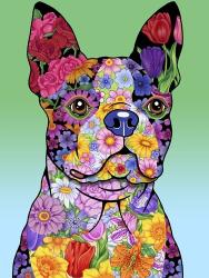 Flowers Boston Terrier | Obraz na stenu