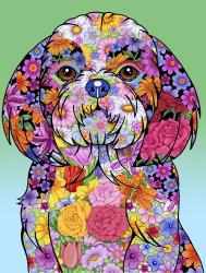 Flowers Shih Tzu | Obraz na stenu