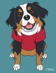 Bernese Mountain Dog | Obraz na stenu