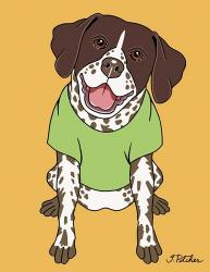 German Pointer | Obraz na stenu