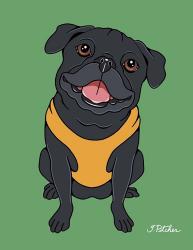 Pug Black | Obraz na stenu