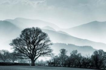 Blue Landscape with Tree | Obraz na stenu