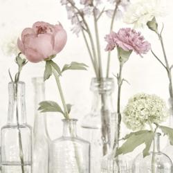 Flowers in Bottles Still Life | Obraz na stenu