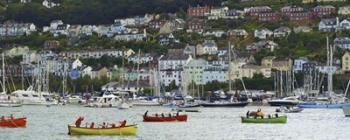 Dartmouth Regatta | Obraz na stenu