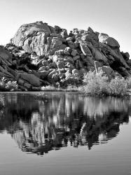 Joshua Tree Lake BW | Obraz na stenu