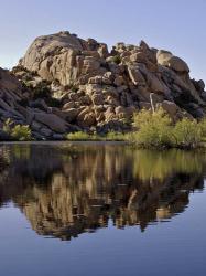 Joshua Tree Lake | Obraz na stenu