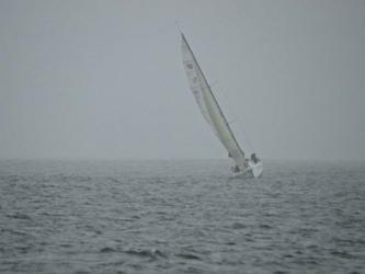 Sailboat in Wind | Obraz na stenu