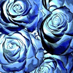 Blue Roses Square | Obraz na stenu