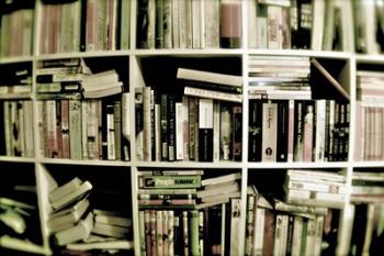 Books On Shelves | Obraz na stenu