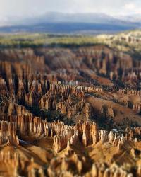 Bryce Canyon Tilt | Obraz na stenu