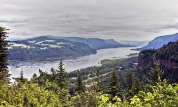 Columbia River Gorge | Obraz na stenu