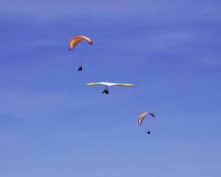 Hang Glider 9 | Obraz na stenu