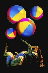 Beachball Zebra | Obraz na stenu