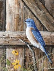 Old Barn Watcher | Obraz na stenu