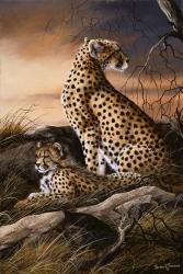 Cheetahs Of Dusk | Obraz na stenu