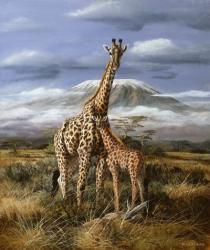 Kilimanjaro Pair | Obraz na stenu