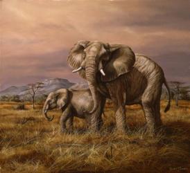 Mother and Child (Elephants) | Obraz na stenu