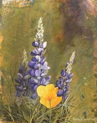 Poppies And Lupine | Obraz na stenu