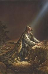 Jesus Kneeling | Obraz na stenu