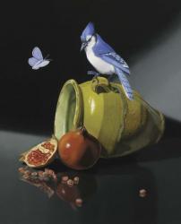 The Jay In Provencal Pot | Obraz na stenu