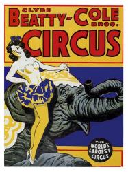 Beatty Circus | Obraz na stenu