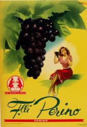Gianrosa 1955 - Grapes | Obraz na stenu