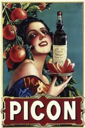 Picon Liquor | Obraz na stenu