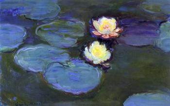 Water Lily detail_blur | Obraz na stenu