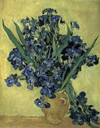 Irises(1890) | Obraz na stenu