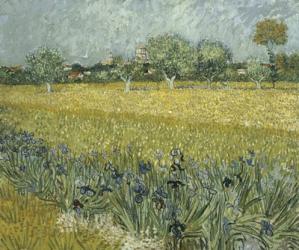 View of Arles with Irises | Obraz na stenu
