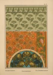 Plate 71 - Chrysanthemum | Obraz na stenu