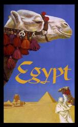 Eqypt Camel | Obraz na stenu