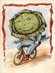 Bike Cabbage | Obraz na stenu