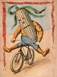 Bike Corn | Obraz na stenu