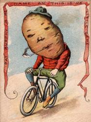 Bike Potato | Obraz na stenu