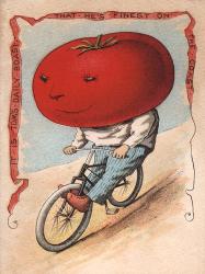 Bike Tomato | Obraz na stenu