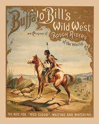 Buffalo Bills Wild West I | Obraz na stenu