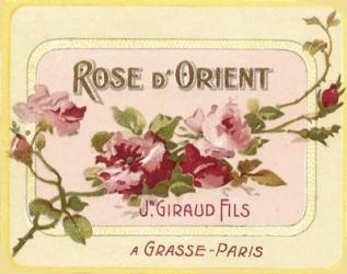 Rose D Orient | Obraz na stenu