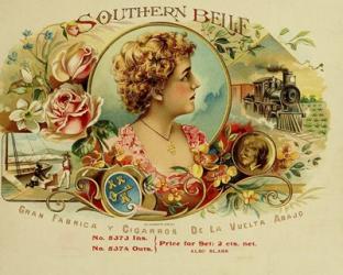 Southern Belle | Obraz na stenu
