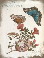 Beautiful Papillons Ornate Exclusive | Obraz na stenu