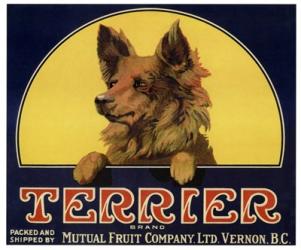 Terrier Label | Obraz na stenu