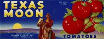 Texas Moon Tomatoes | Obraz na stenu
