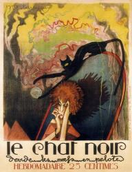 Le Chat Noir 2 | Obraz na stenu