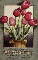 Red Roses | Obraz na stenu