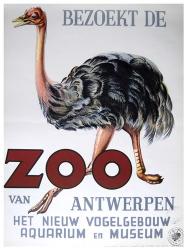 Antwerp Zoo | Obraz na stenu
