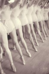 Ballet | Obraz na stenu