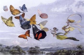 Fairy Butterflies 1 | Obraz na stenu