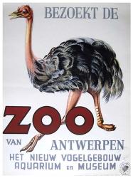 Antwerp Zoo | Obraz na stenu