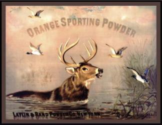Orange Sporting | Obraz na stenu