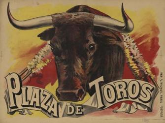 Plaza De Toros 1893 | Obraz na stenu
